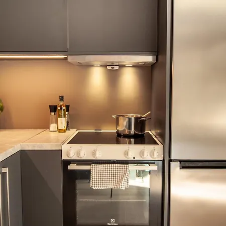 Appartement Modern 4br Flat At Gruenerlokka, 1 Min Walk To Tram Oslo